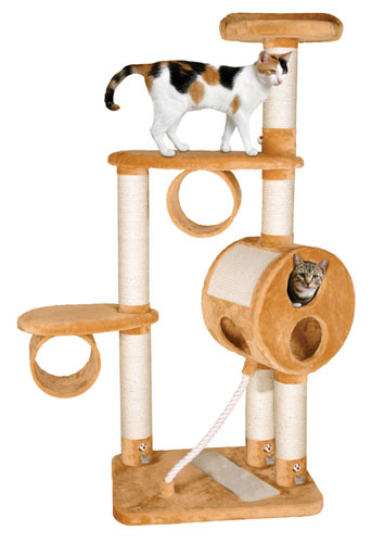 arbre a chat indispensable